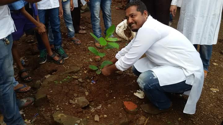 tree plantation